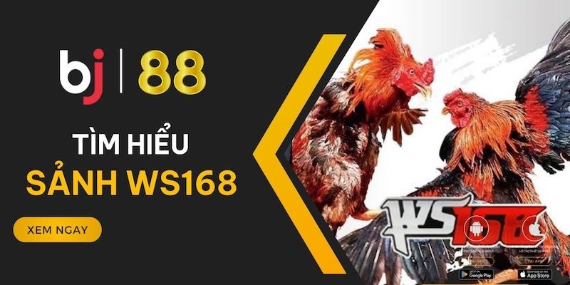 Tổng quan về sảnh WS168