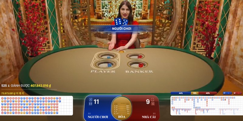 Hướng dẫn người chơi tham gia casino