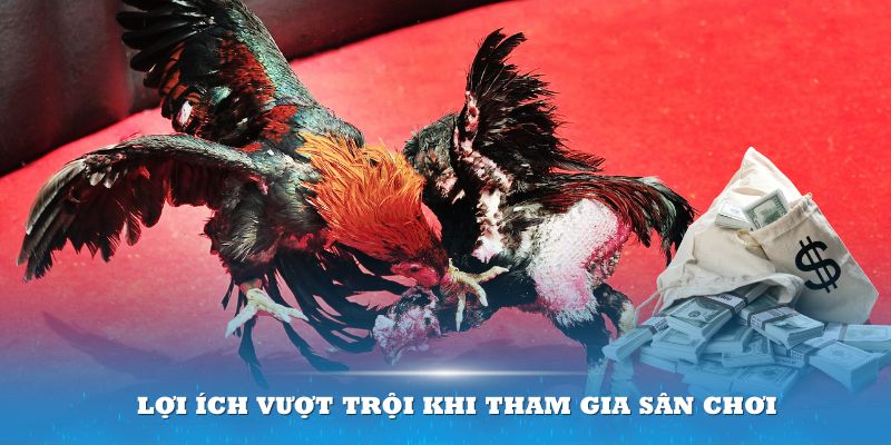 Lợi ích vượt trội khi tham gia sân chơi